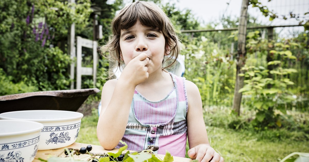 Hoe richt ik een tuin in om van te smullen? | Velt